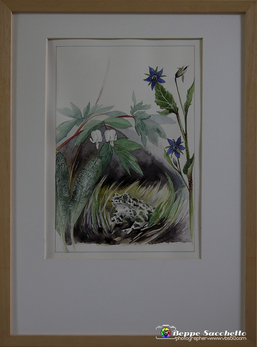 VBS_1750 - Castello di Miradolo - Mostra Oltre il giardino l'Abbecedario di paolo Pejrone.jpg